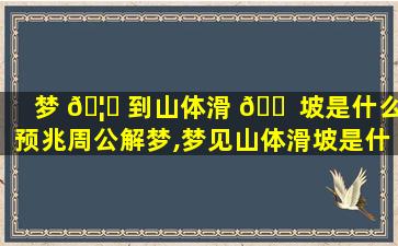 梦 🦊 到山体滑 🐠 坡是什么预兆周公解梦,梦见山体滑坡是什么意思